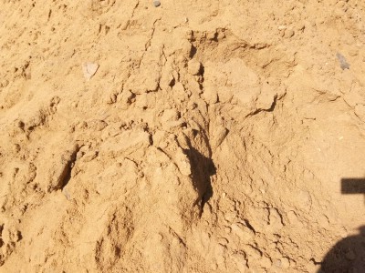 Доставка намывного песка